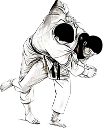Club Judo ASOR SCHILTIGHEIM : Tarifs